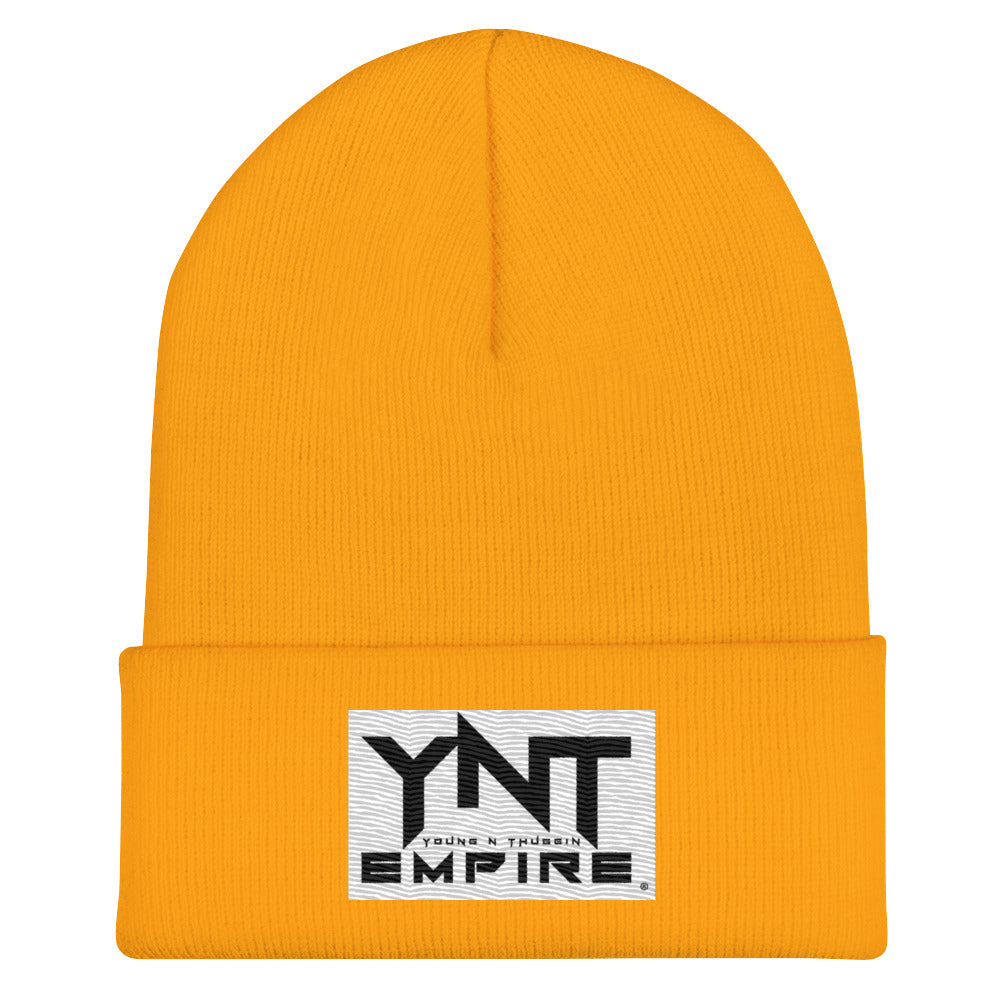 Cuffed Beanie